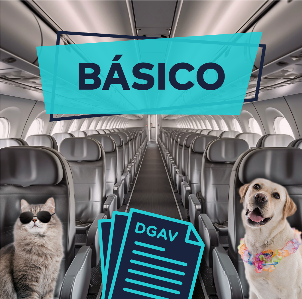 Emissão Certificado Veterinários Sobre Rodas (DGAV-CVI)